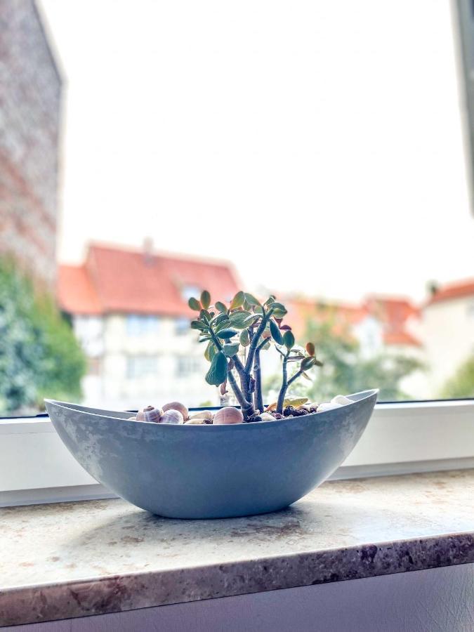 Apartament Am Mathildenbrunnen Gross Quedlinburg Zewnętrze zdjęcie
