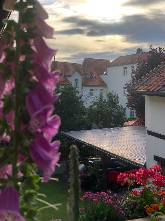 Apartament Am Mathildenbrunnen Gross Quedlinburg Zewnętrze zdjęcie