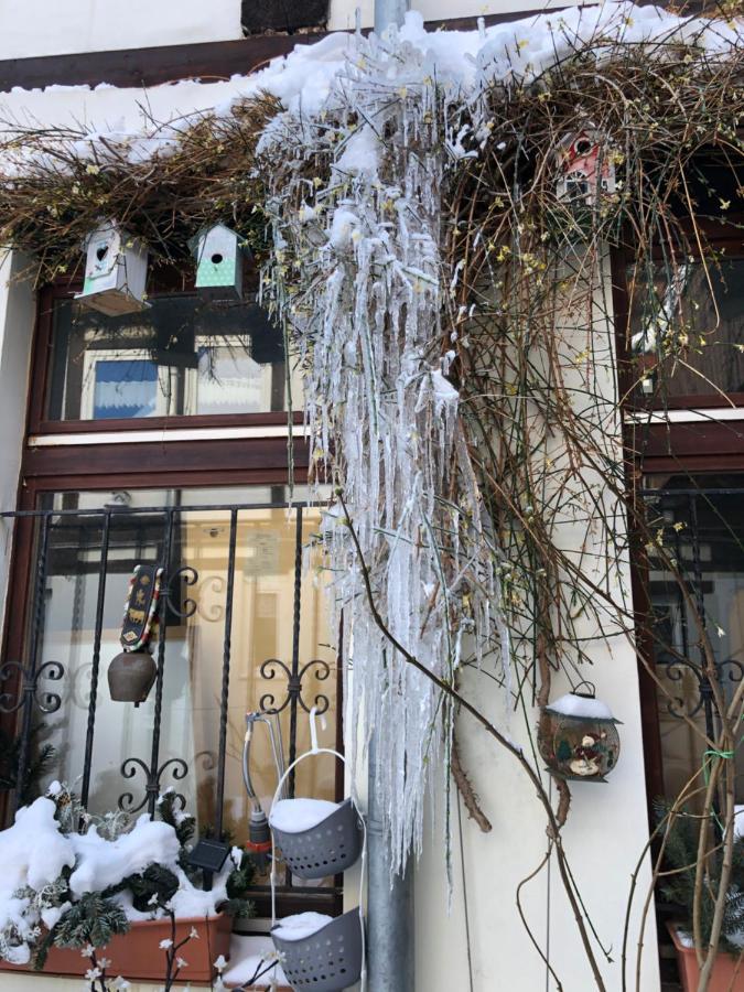 Apartament Am Mathildenbrunnen Gross Quedlinburg Zewnętrze zdjęcie